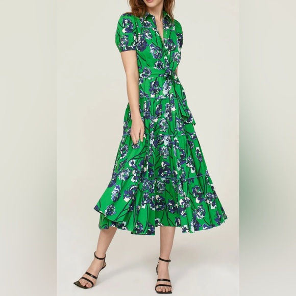 diane von furstenberg green dress Diane Von Furstenberg, Julian Green Graphic Print Silk Wrap Dress Size –  pennypincherboutique main image 1